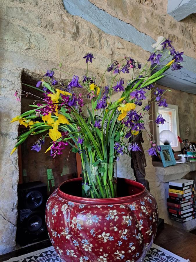 Le Moulin Des Cavaliers Bed and Breakfast La Rouquette Εξωτερικό φωτογραφία