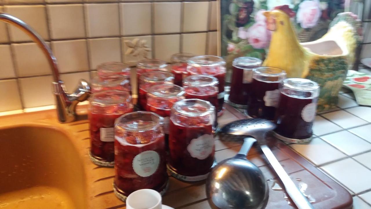 Le Moulin Des Cavaliers Bed and Breakfast La Rouquette Εξωτερικό φωτογραφία